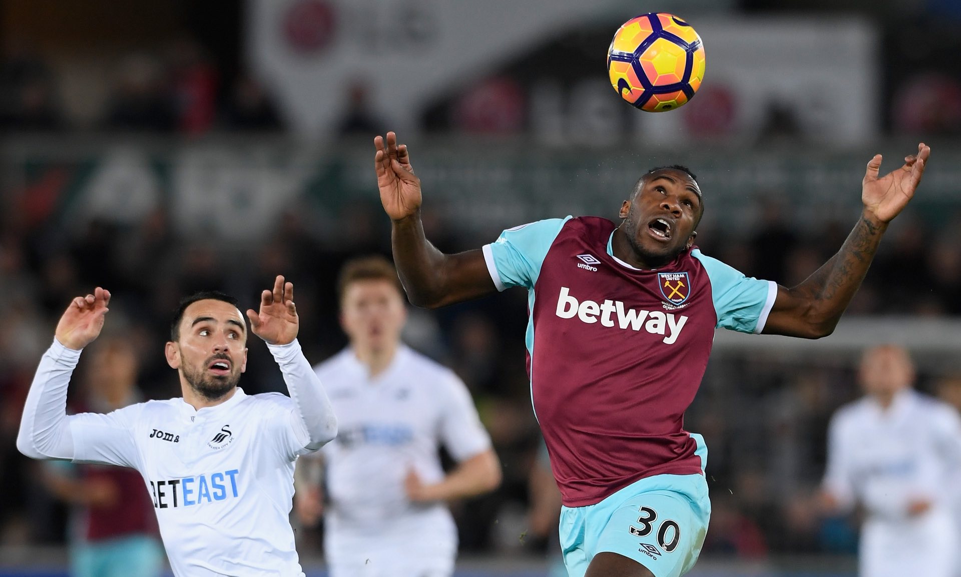 在今夏的N 在今夏的N